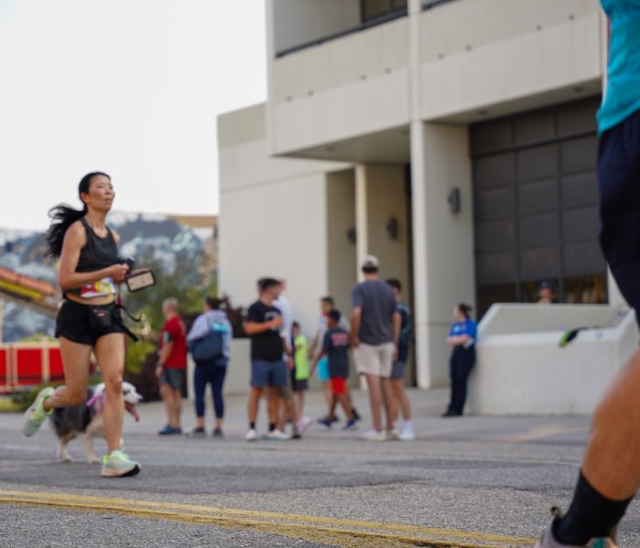 Half Marathon Training Plans